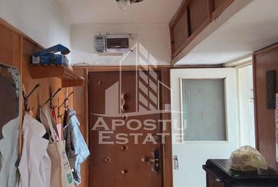 Apartament cu 2 camere nedecomandat în Iosefin - 2