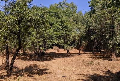 Proprietar vand teren intravilan | 914 mp | FS 18,8m | langa Iulius Mall - 6