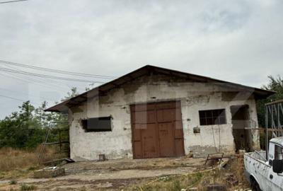 Ferma de Vanzare in judetul Timis, la nord est de Timisoara, - 13