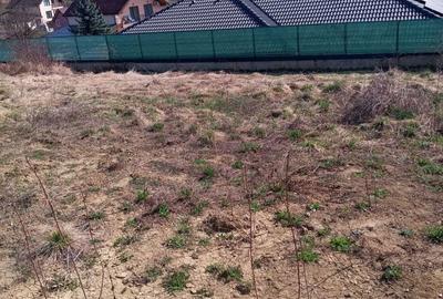 Spațiu comercial, în Central