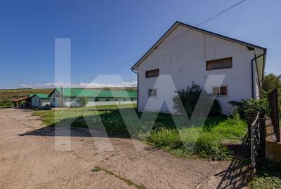 Proprietate industriala cu hale moderne, teren generos si acces Autostrada A1 Proprietate industriala cu hale moderne, teren generos si acces Autostrada A1 - 15