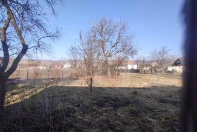 Casa veche, renovabila, 55 mp si 1400 mp teren intravilan+an - 5