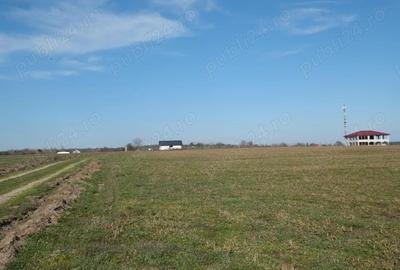 Teren de 1075 mp, în Găneasa - 5