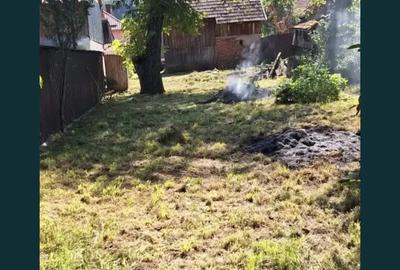 Casa si teren, 1000 mp E60 Capusu Mare - 1