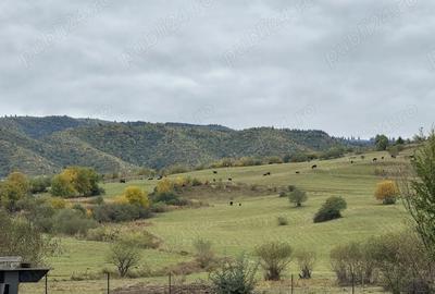 Teren de 2400 mp, în Orlat - 1