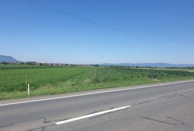 Teren de 5000 mp, în Stupini - 3