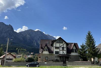 Teren intravilan Poiana Tapului. Tripla deschidere. Vedere l - 5