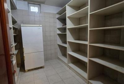 Apartament pe 2 etaje si curte de 187 mp HERASTRAU - 22