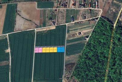 Loturi de teren la padure | 500-1000mp | Izvorani- Snagov - 2