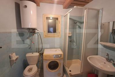 Cabana in colibita - 7