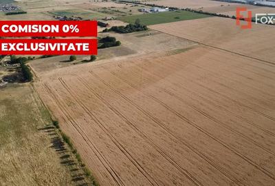 Teren Construcții intravilan de 24700 mp, în Pădureni (Jebel) - 6