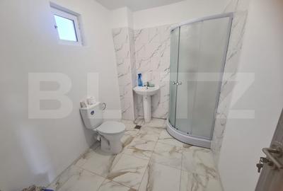 Casa, 4 dormitoare, Lunca Cetatuii - 9