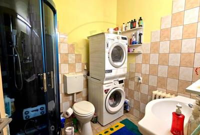 Casa individuala  situata pe Strada Cardinal Iuliu Hossu, Satu Mare - 17