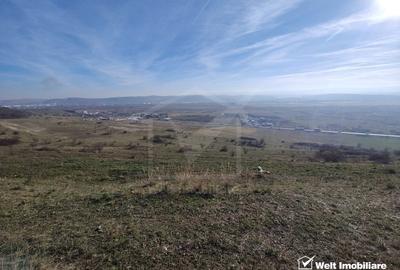 Teren zona Colonia Hodai, 10320 mp, Utr - TDA-L, terasat, acces auto - 3