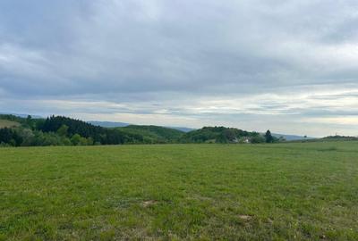 Teren Construcții intravilan de 11290 mp, în Șinteu - 2