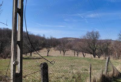 Casă cu Teren 6580 Mp în Zece Hotare - 2