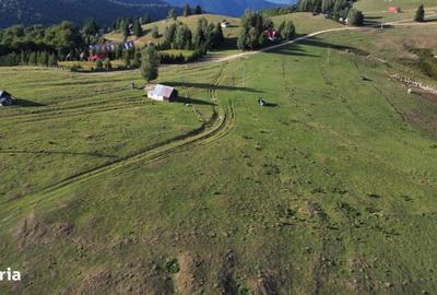 Teren de 1113 mp, în Central - 3