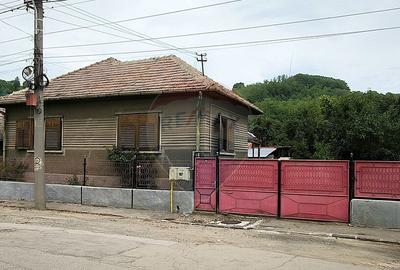 Casa pe un nivel in Medias, teren 533 mp, curte dreapta - 3