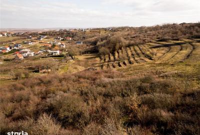 Teren de 3464 mp, în Oncea - 7