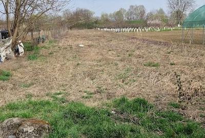 Casă cu 4 camere cu Teren 2712 Mp în Central - 2