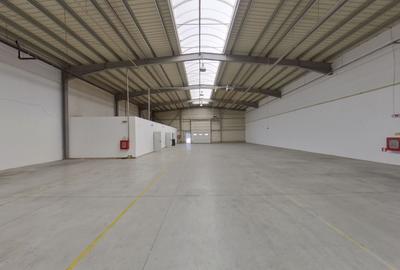 Spațiu industrial, de 856 mp, în Sud - 3