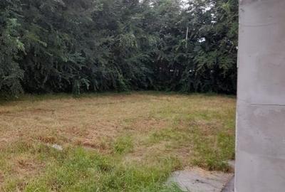 Vand casa la Tara Vand casa la Tara - 7