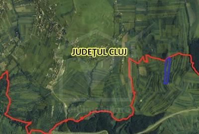 Teren agricol extravilan de 24280 mp, în Sopor - 3