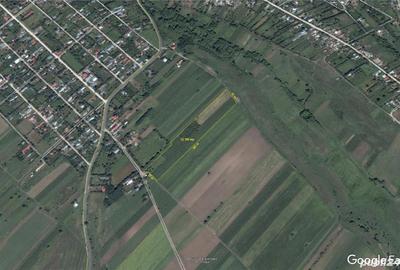 Teren de 22500 mp, în Plopșoru - 1