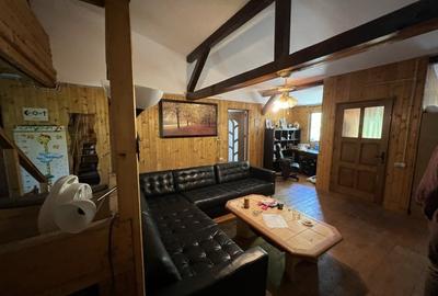 Casa-langa studiourile Buftea, 2 constructii, curte cu pomi, 2500mp, langa lac - 14