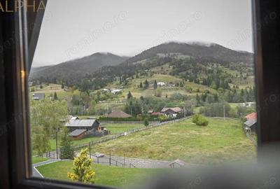 Casă cu Teren 3450 Mp în Colibița - 4