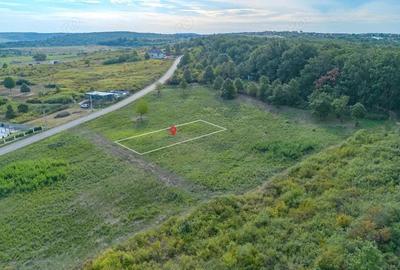 Teren intravilan -700 mp in Paleu, Bihor- intre padure ?i lac, cu PUZ aprobat Teren intravilan -700 mp in Paleu, Bihor- intre padure ?i lac, cu PUZ aprobat - 6