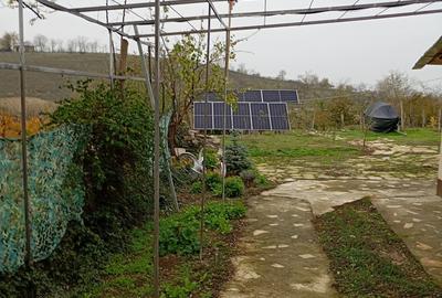 Vand casa la 20 Km de Tulcea - 1