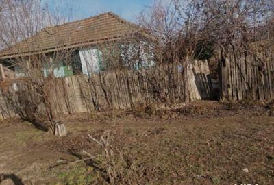 Schimb Casa Amara Buzau cu Garsoniera +Diferenta - 5