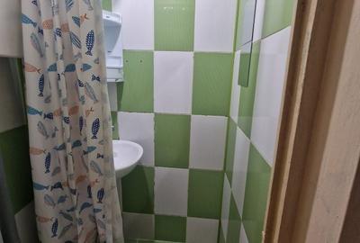 Garsonieră în Exercițiu - 11