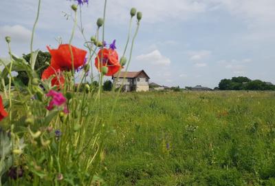 Teren Construcții intravilan de 648 mp, în Săbăreni - 1