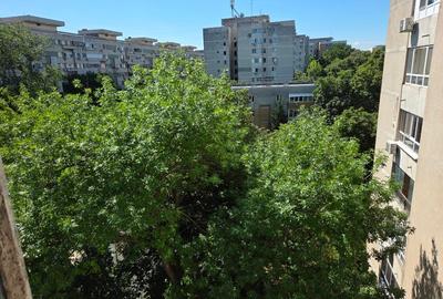 Drumul Taberei Favorit - 11