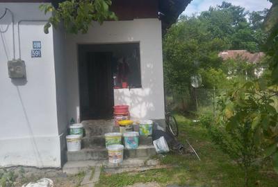 Casă cu Teren 8643 Mp în Târgu Cărbunești - 1