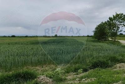 Teren extravilan de vanzare in Ulmeni! - 1