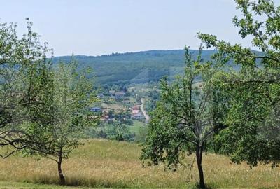 Teren extravilan de 1000 mp, situat pe strada Ghinzii - 7