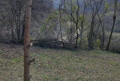Proprietar vând teren intravilan 1491 mp Băile Herculane (Pecinișca-Păstrăvărie) - 6