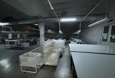 Complex industrial 30130 mp construit - Teren 42558 mp - 4