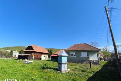 Casă cu 3 camere cu Teren 3200 Mp în Meseșenii de Jos - 10