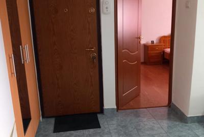 Apartament cu 2 camere decomandat în Ostroveni - 4
