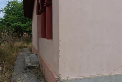 Calarasi, Dor Marunt, casa 4 camere din caramida, 2.550 mp - 8