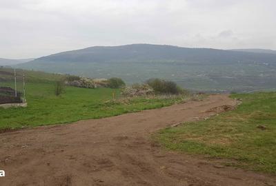 Teren de 1000 mp, în Baciu