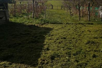 Apartament cu 4 camere în Tirimioara - 1