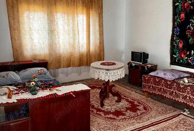 Vand proprietate Comuna Obarsia Closani Mehedinati - 4