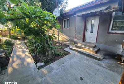 Casă cu 3 camere cu Teren 3200 Mp în Ceamurlia de Jos - 4