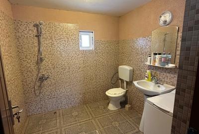 Casă cu 4 camere cu Teren 19200 Mp în Central - 17