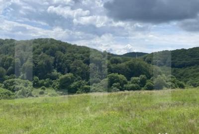 Teren de 500 mp, în Simeria - 4